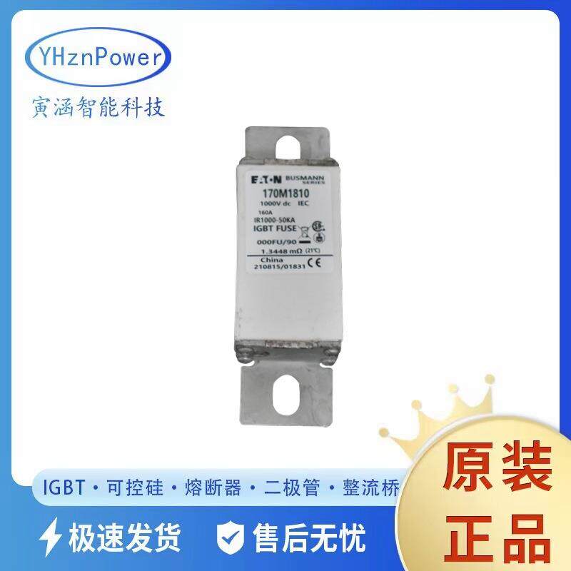 170M1730170M1731170M1732170M1733170M1734快速熔断器熔芯原