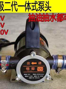 电动抽油泵抽泵便携式手提12V24V2抽20540V正反水大功率油抽转水