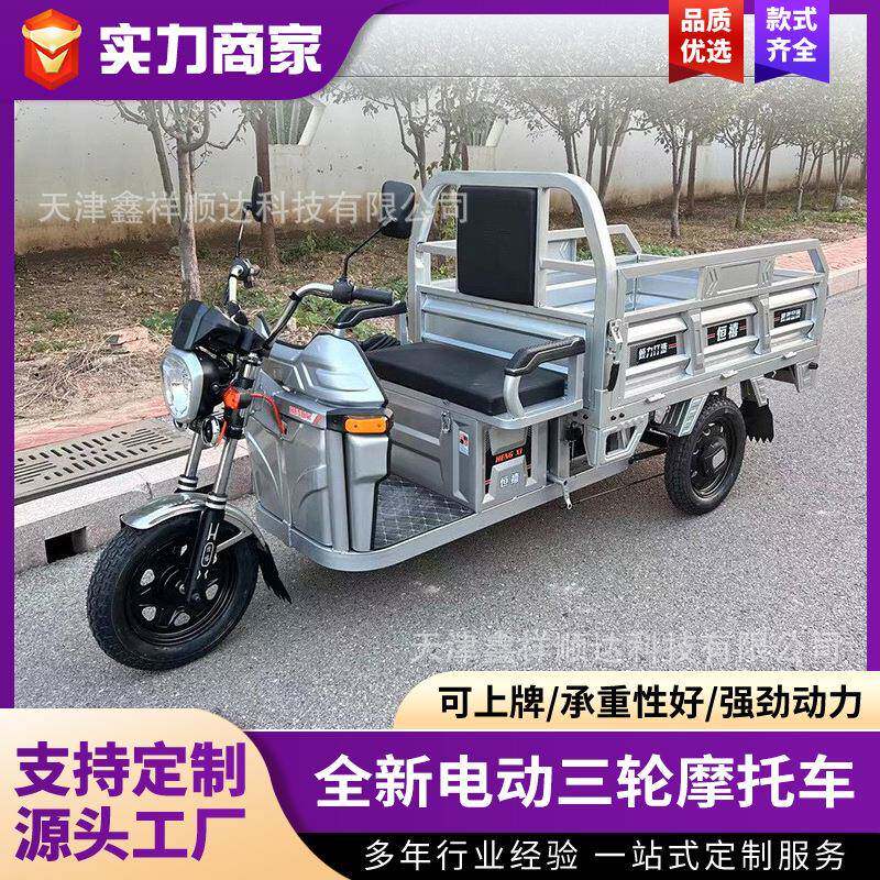 电动三轮车拉货电瓶车成人载货新国标可上牌车厂家直销王偏三轮