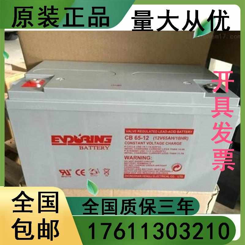 ENDURING蓄电池CB65-12 免维护12V65AH直流屏UPS EPS消防电源