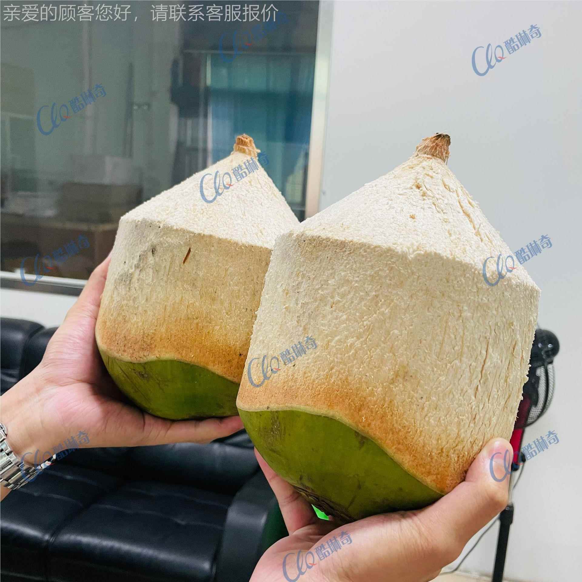 外贸客户例青椰削案皮机 新 鲜仿手工自OKO动削皮椰子机直广东厂