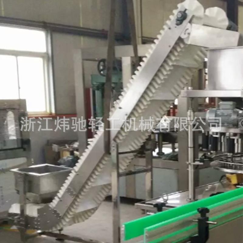 颗粒粉末物料输送机水泥建材粮食输送机链板式提升机自动提升