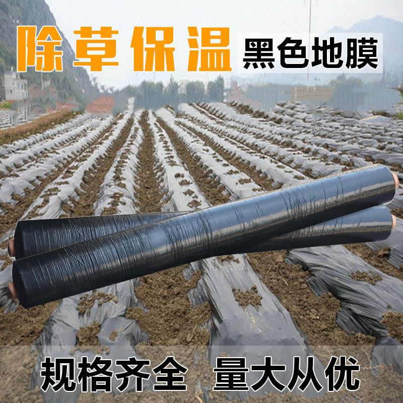 黑色保湿除草保温膜草莓种植农用膜果树双色银黑地膜农用白色保温