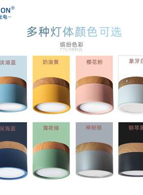 新款直销跨境明装筒灯马卡龙led筒灯12W木纹三色变光玄关过道走廊
