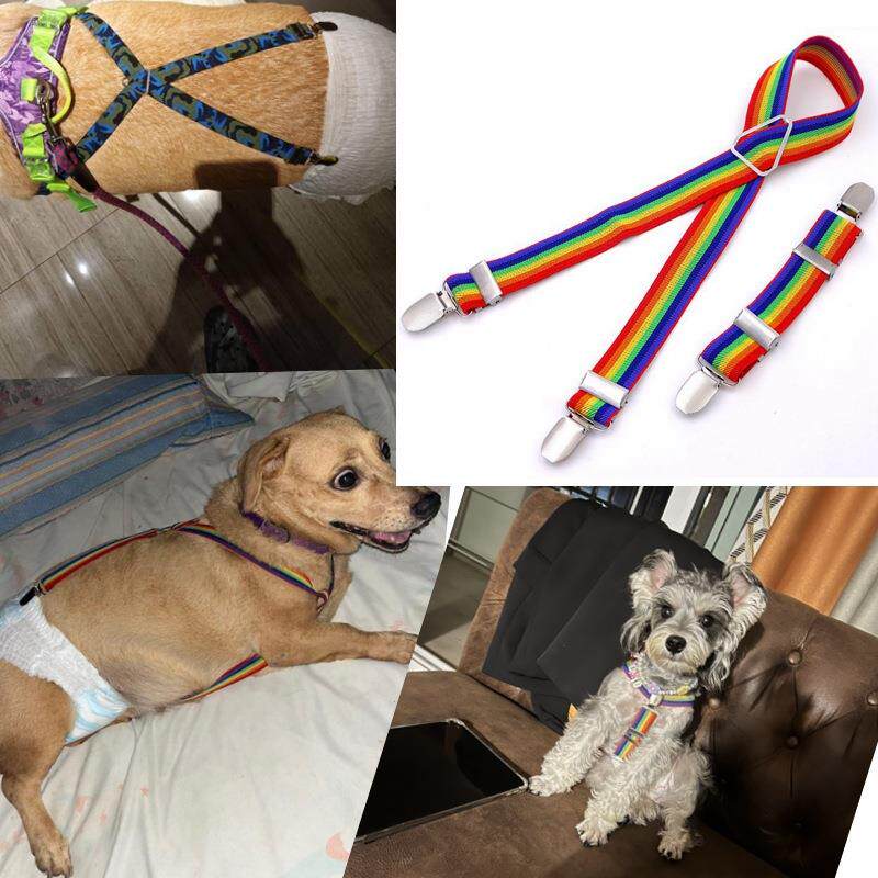 宠物生理裤狗狗尿布湿可调节松紧背带夹亚马逊宠物用品大型犬柯基