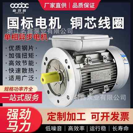 单相异步电动机370/50.34077w/4级家用2电2V铝壳YL低速机立式设备