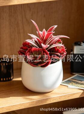 跨境热销仿真赤焰多肉莲塑料圆盆多肉组合桌面装饰绿植小摆件