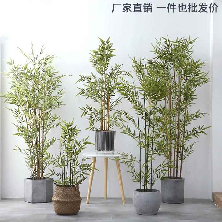 细水毛竹假竹子室内庭院装饰假绿植盆景盆栽造景植物仿真竹子盆栽