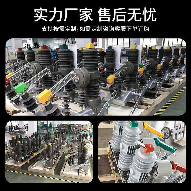 10kv断路器630a开关12fg上高压看门狗-隔离带柱真空智能/zw32户外