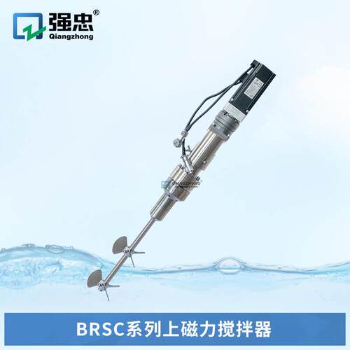 BRSC系列上磁力搅拌器食品饮料混合溶解配料顶部直入式磁力搅拌器