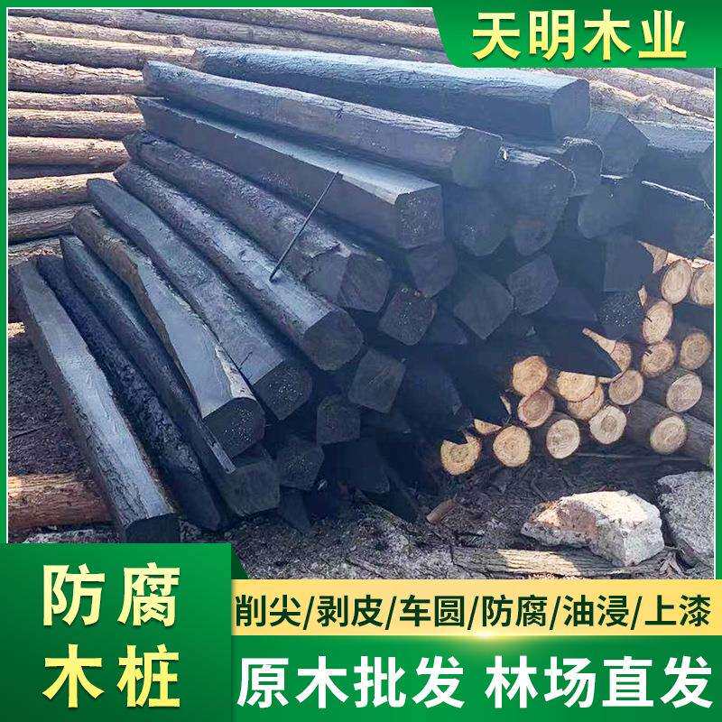 杉木桩落叶松木桩米园林绿化河道防汛打桩木松树圆木坡护堤