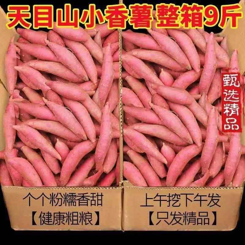天目山小香薯5斤临安产地直销板栗小红薯新鲜食用地瓜手指番薯甜