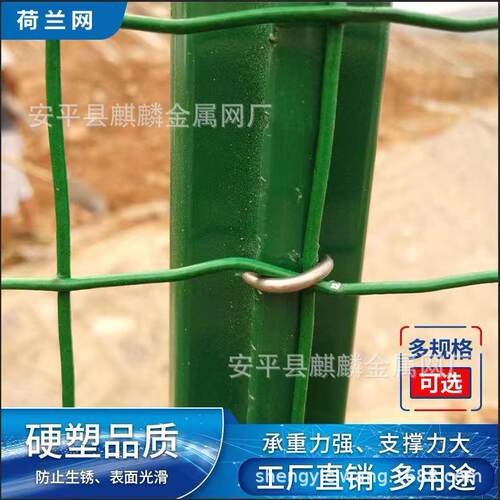 荷兰网铁网养鸡防ENM护网丝浸焊塑电养殖网围网栏钢丝圈地果园网
