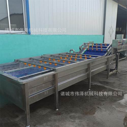 水果全自动气泡清洗机葡萄清洗机气流风机鼓泡式苹果大枣清洗机