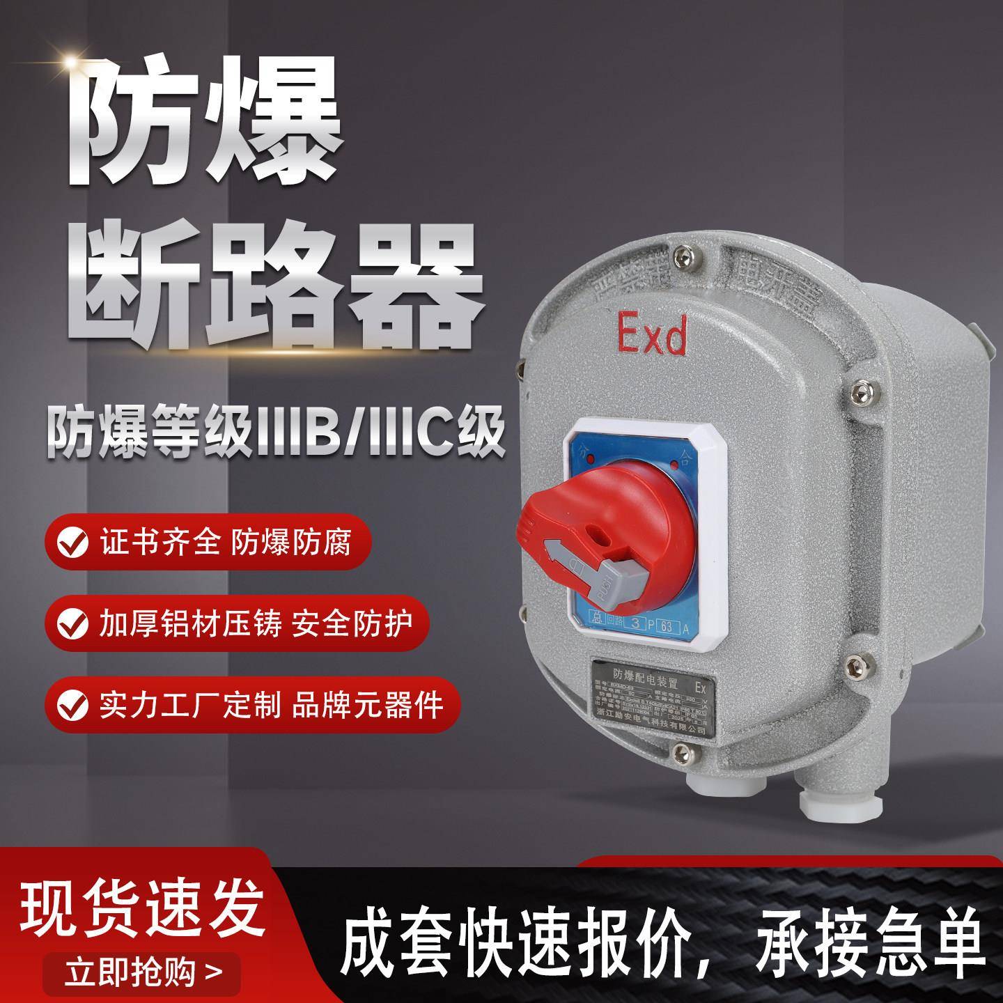 防爆断路器防爆开关220V380V防爆空开控制箱漏电保护开关箱10A20A