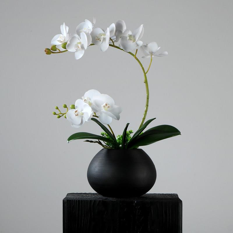 蝴蝶兰彷真花简约现代家居客厅装饰假花轻奢高端摆设桌面花艺摆件图片