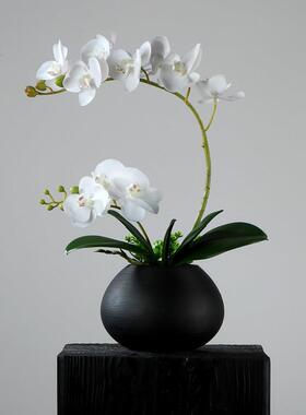 蝴蝶兰仿真花简约现代家居客厅装饰假花轻奢高端摆设桌面花艺摆件