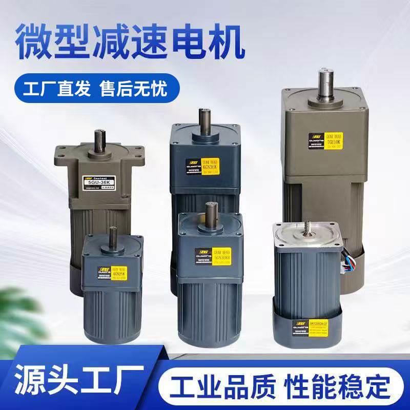 OPG齿轮减速电机微型调速电动马达交流220V流水线 6-120-250-400W