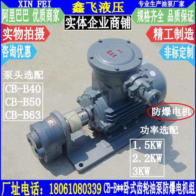 WBZ-CB-B40 B50 B63卧式齿轮油泵防爆电机组2.2KW YB3-100L-4
