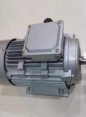 玻璃机械设备磨床用YS80M1-4-0.55KW/380V三相异步卧式立式电动机