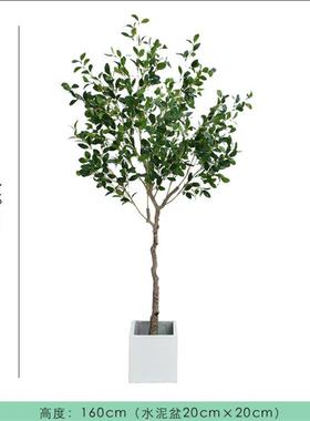 仿真山茶TJZ树绿植树家居客厅商场店酒店餐厅落地景造假观装饰铺