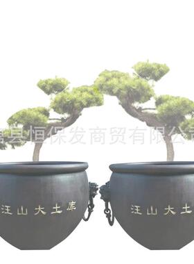 铜大缸摆件仿古中式故宫铜缸雕塑双耳狮头纯铜大缸1米1.5米