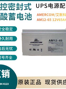 艾默科蓄电池AM12-6512V6H后备电源数据基站直流通信三年