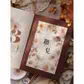 小白家3月文创新品 轻覆古清新雏菊花及纸质宠物手册带 雏菊