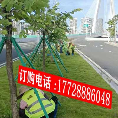 树木支撑架钢管防风支撑架铁抱箍树木支撑固定器园林绿化支撑架