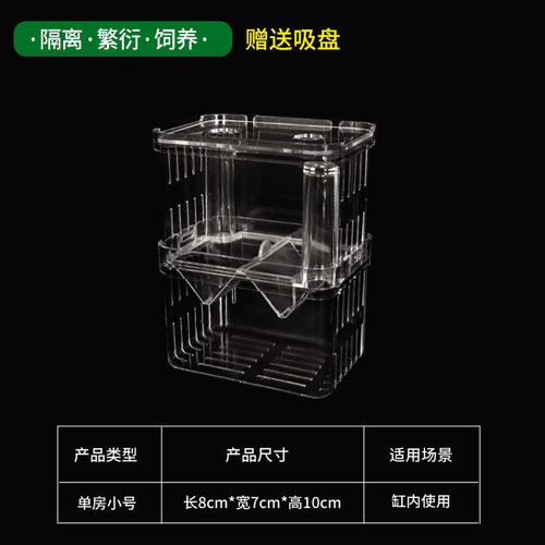 孔雀繁殖斗鱼鱼缸鱼缸隔离孵化器