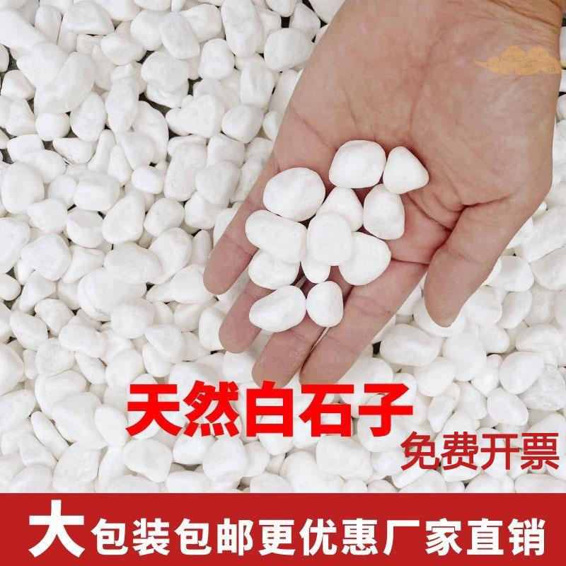 白色鹅卵石铺地小石头园林花盆铺面石庭院白石头铺路造景白石子