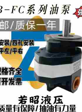 液压油泵CB-FC10/16/20/25/32/40/50/80高压齿轮泵打压泵液压帮浦