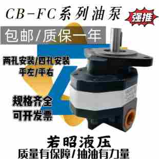 液压油泵CB 80高压齿轮泵打压泵液压帮浦 FC10