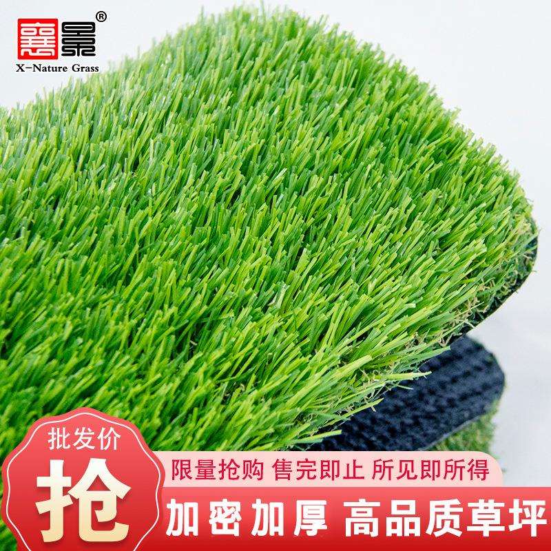 户外休闲仿真草坪幼儿园休闲人工绿化草坪庭院绿化假草坪装饰造景