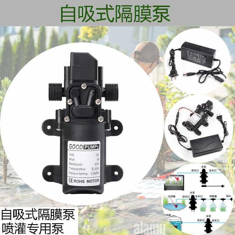 直流变交流电动喷雾器专用泵12V220V回流隔膜泵微型抽水增压泵