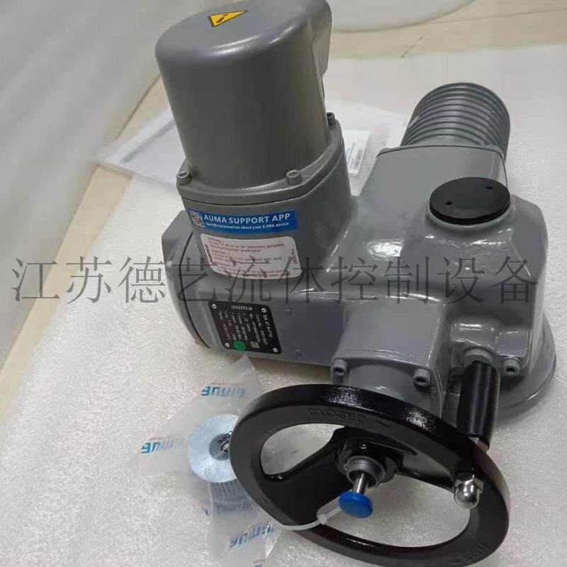奥玛电动执行机构SA10.1-F10-61/min+AM01.1+AD0071-2/80 - 实物图