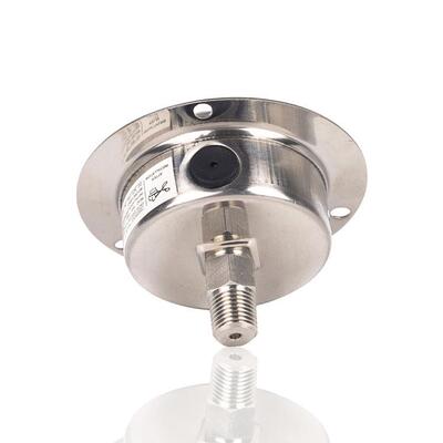不锈钢压力表充油耐振轴向带前边USA YN60BF 16BAR 240PSI 1/4PT