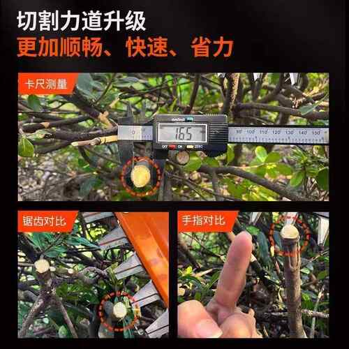 形机电动绿篱充电式篱笆剪球EXQ型手绿弧篱剪手持修剪机茶树单修