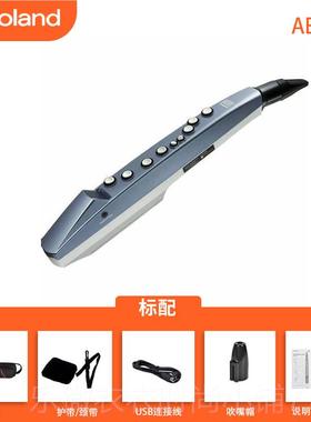 新款Roland罗兰电吹管乐器E01娱乐初ae05/A0c电子1萨克斯学葫芦丝