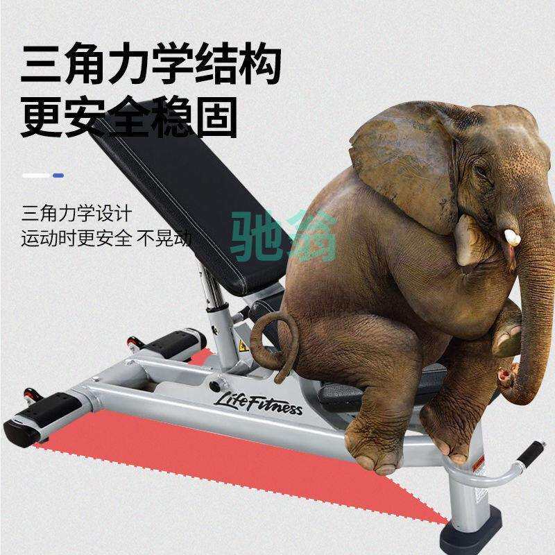 xsz哑铃凳卧推凳家用折叠家庭多功能飞鸟健身椅子器材仰卧起坐辅