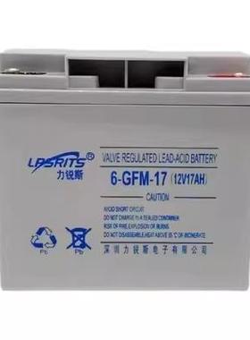 力锐斯蓄电池6-GFM-100 12V100A120A150A200A65A38A24A17AH直流屏