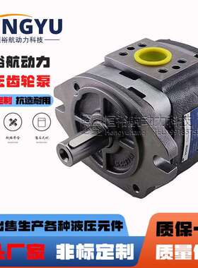 福伊特液压泵VOITH齿轮泵IPV4-13IPV3泵IPV5-64IPV6油泵高压