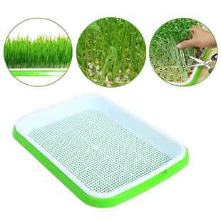 Grow Tray Pots Plate Hydroponics Microgreens Basket Nursery