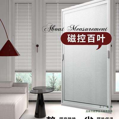 内嵌式单玻璃磁控遮光防窥中空厂型百叶磁吸窗帘2025新款隔热隔音