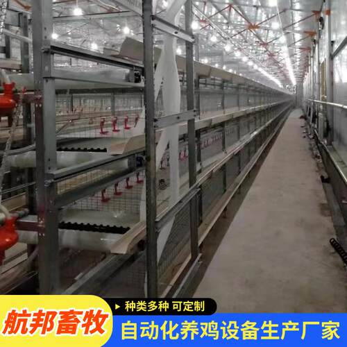 全自动框架肉鸡笼鸡舍养殖镀锌材质H型立式肉鸡笼自动化养鸡设备