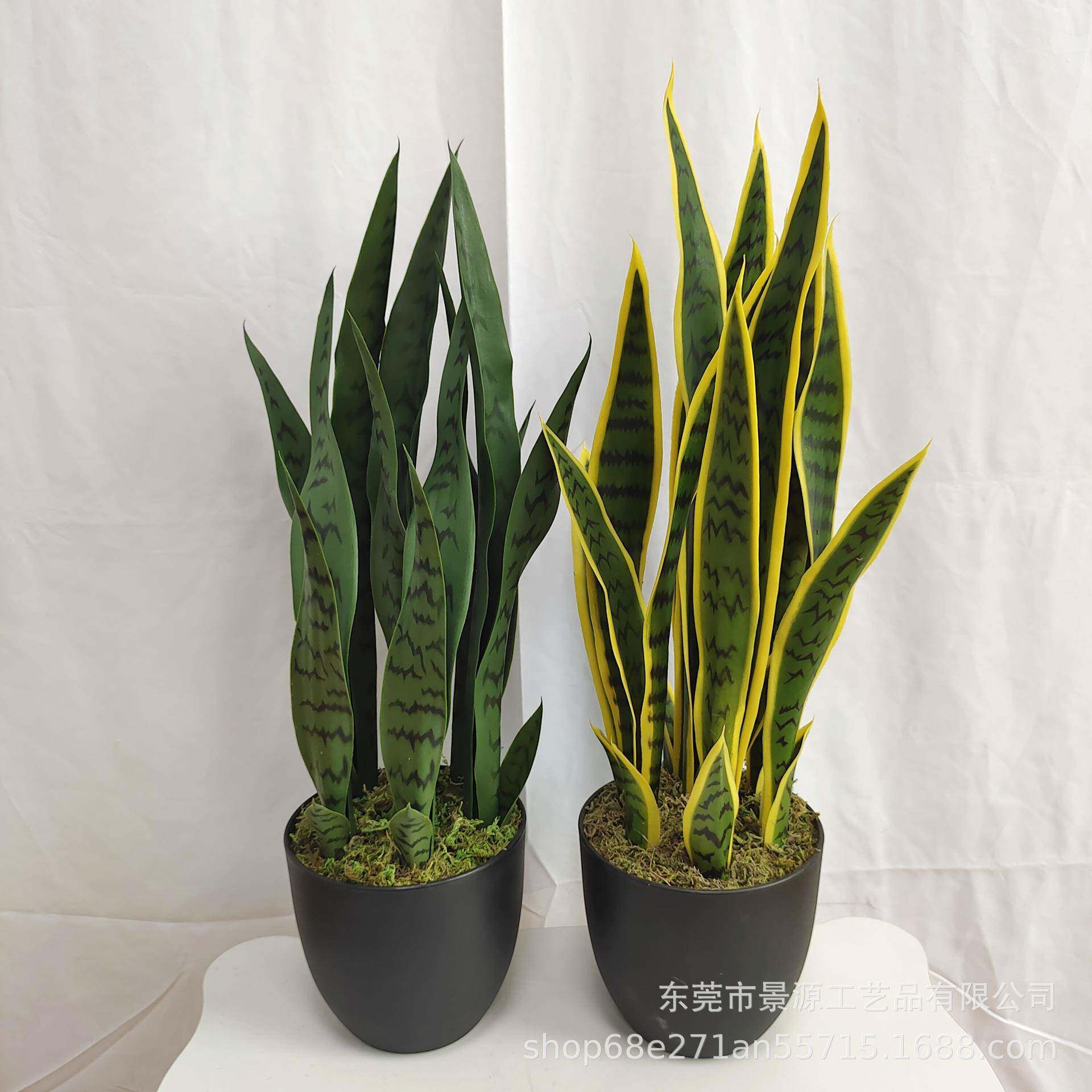 虎纹兰盆栽芦荟盆景家居办公室摆件橱窗造景绿植假花仿真绿植摆件