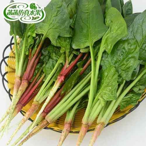 仿真菠菜 假菠菜 假水果蔬菜模型舞台农家乐布景摆设表演道具教具