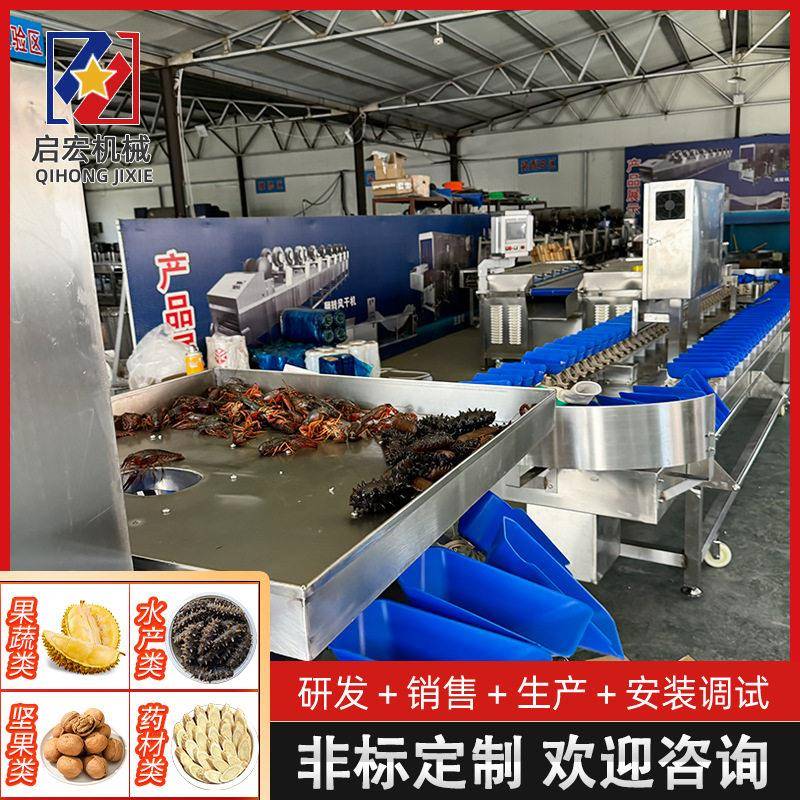 选果机柑橘苹果橙子柚子智能分拣分级流水线精度称重筛选分选机