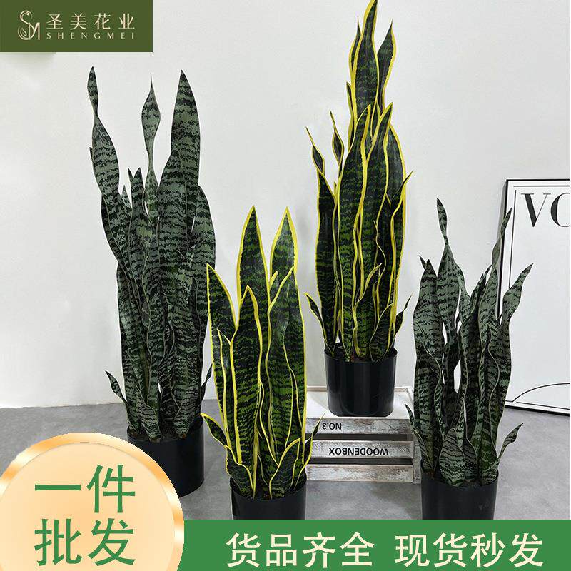 仿真虎皮兰盆景龙舌兰多肉绿植热带植物盆栽室内客厅简约装饰摆件