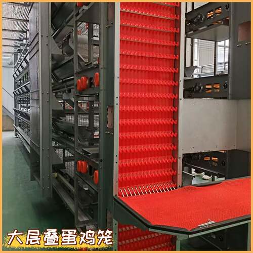 全自动大层叠蛋鸡笼养鸡场蛋鸡养殖设备自动化养殖笼具